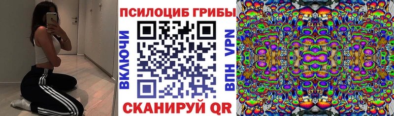 как найти закладки Севск KRAKEN ссылки Галлюциногенные грибы Cubensis